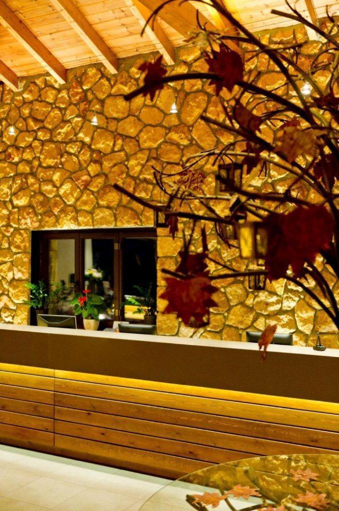 Pliadon Gi Mountain Resort & Spa Kato Sinikia Trikalon Eksteriør billede